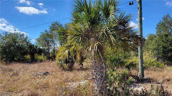 0.48 Acres of Residential Land for Sale in Lehigh Acres, Florida