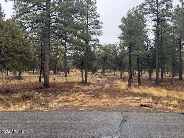 1 Acre of Residential Land for Sale in Happy Jack, Arizona