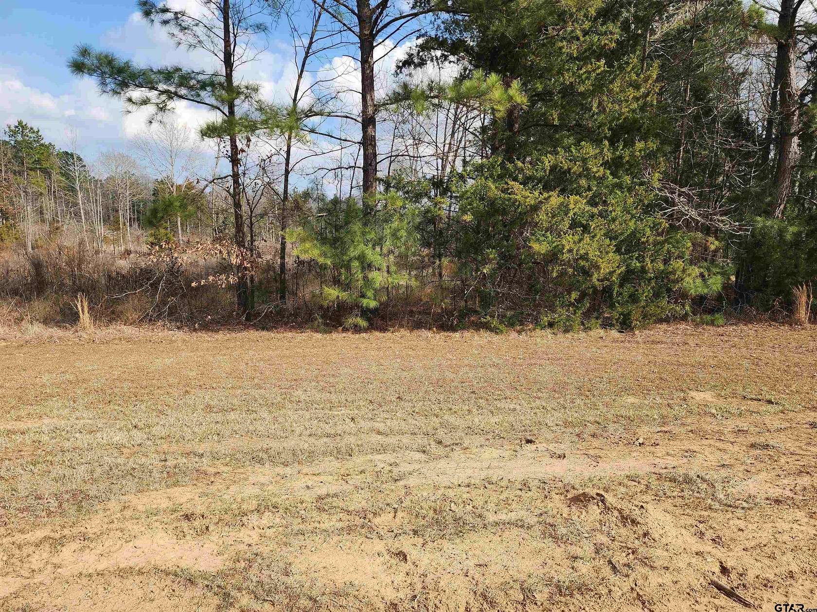 13.7 Acres of Land for Sale in Pittsburg, Texas