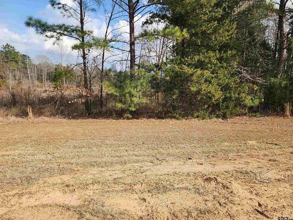 13.7 Acres of Land for Sale in Pittsburg, Texas