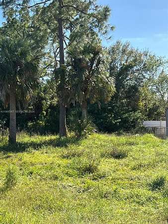 0.25 Acres of Residential Land for Sale in Lehigh Acres, Florida