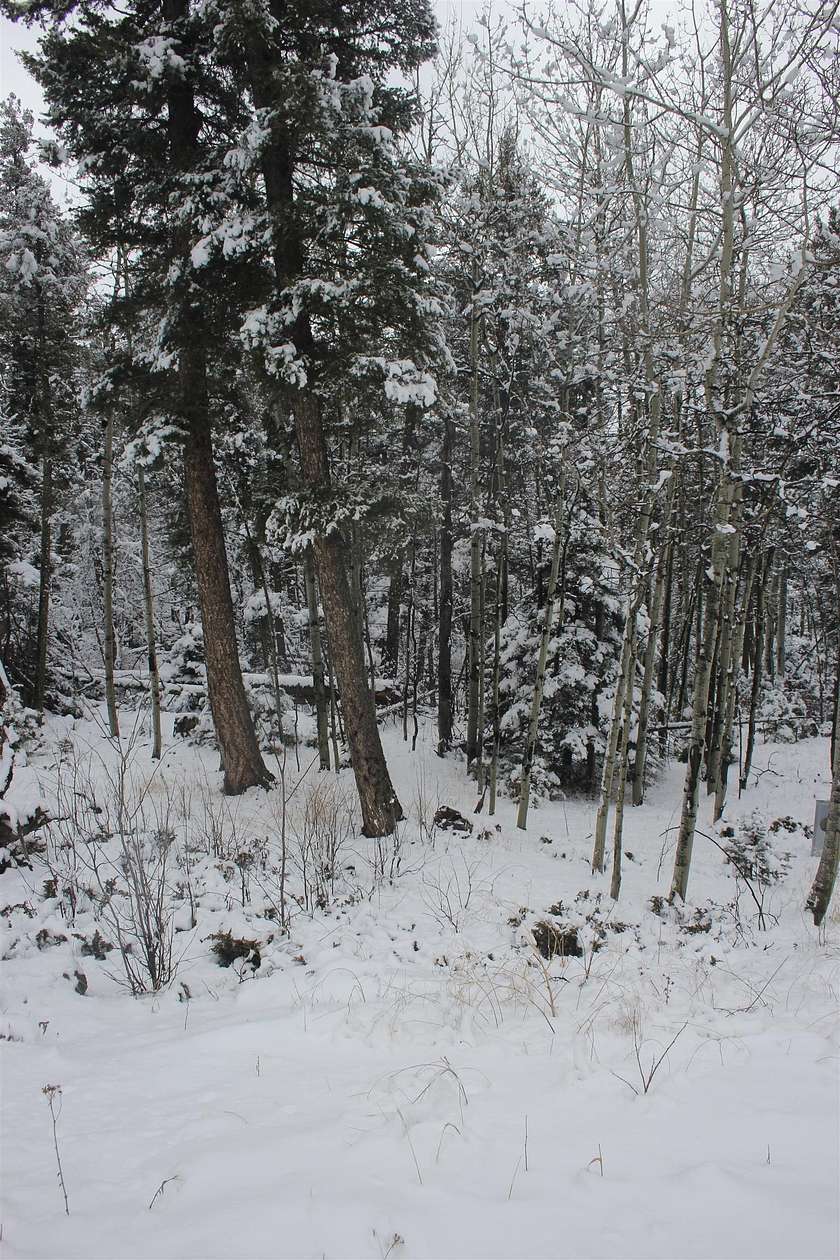 0.93 Acres of Land for Sale in Angel Fire, New Mexico