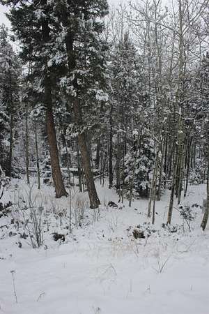 0.93 Acres of Land for Sale in Angel Fire, New Mexico