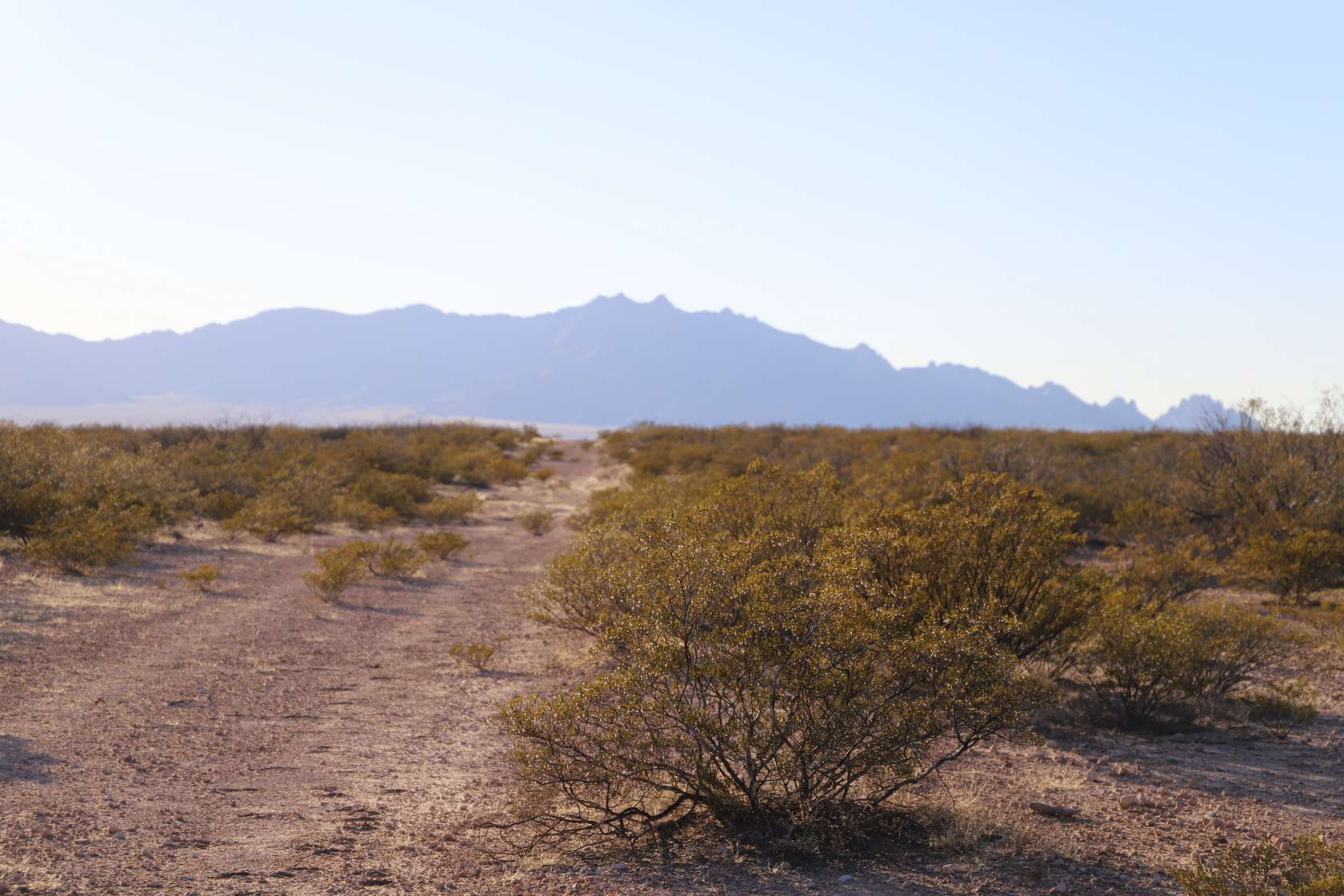 2 Acres of Residential Land for Sale in Deming, New Mexico