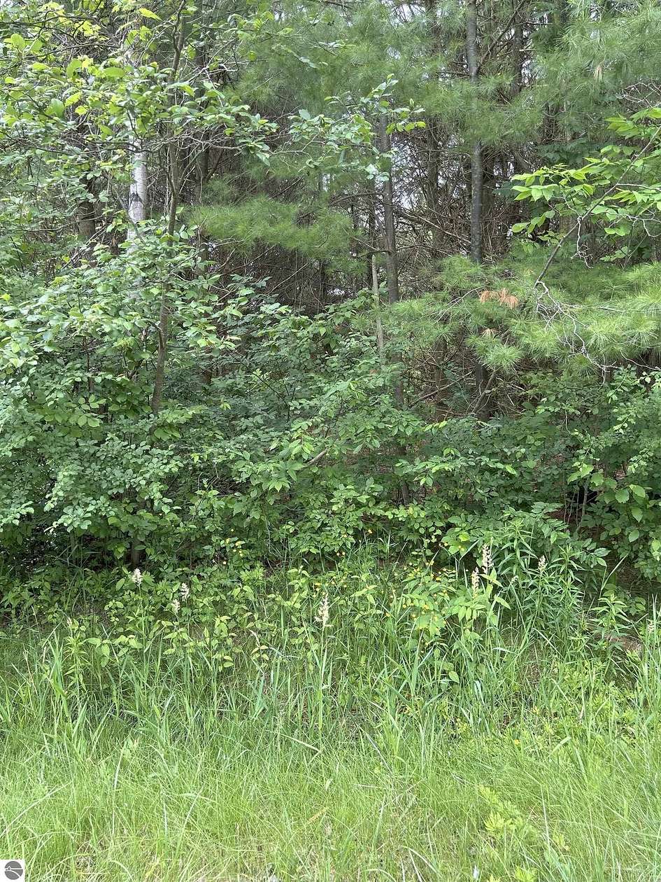 0.82 Acres of Residential Land for Sale in Gladwin, Michigan