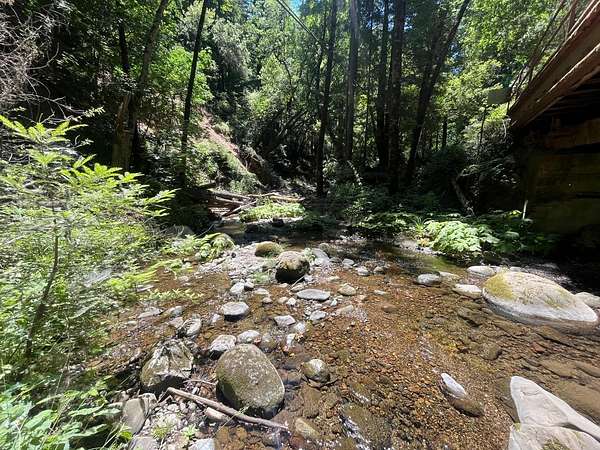 31 Acres of Recreational & Residential Land for Sale in Boulder Creek, California