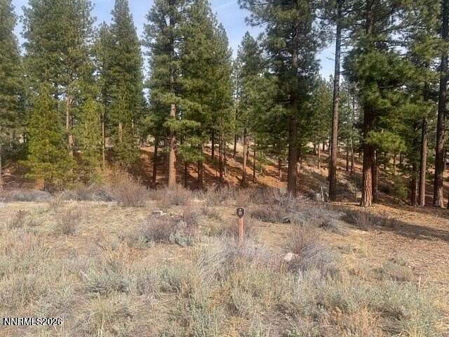 0.83 Acres of Residential Land for Sale in Carson City, Nevada