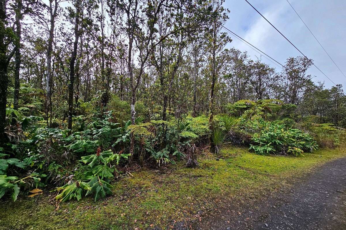 3 Acres of Land for Sale in Volcano, Hawaii