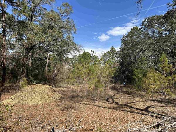 1.16 Acres of Land for Sale in Tallahassee, Florida