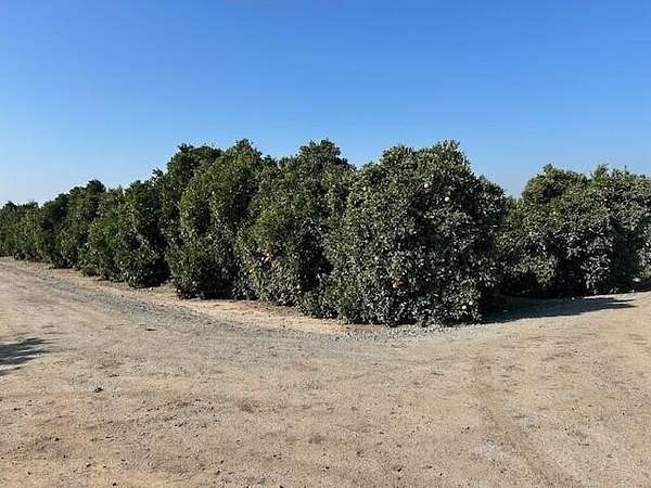 7.38 Acres of Land for Sale in Terra Bella, California