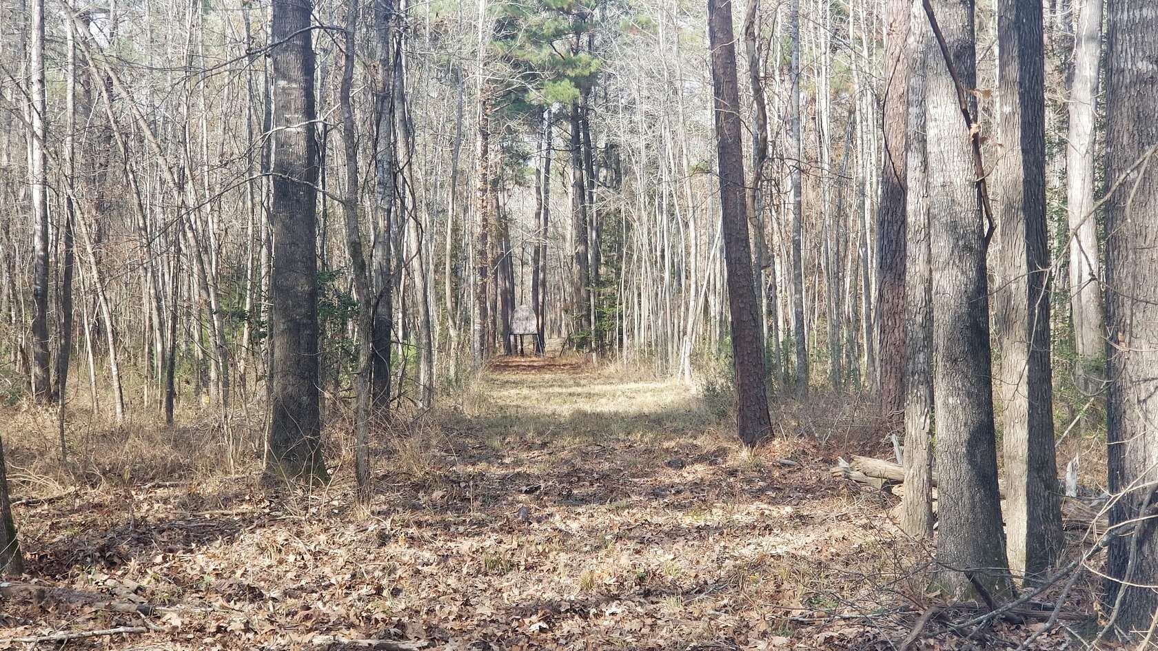 29 Acres of Recreational Land for Sale in Maydelle, Texas