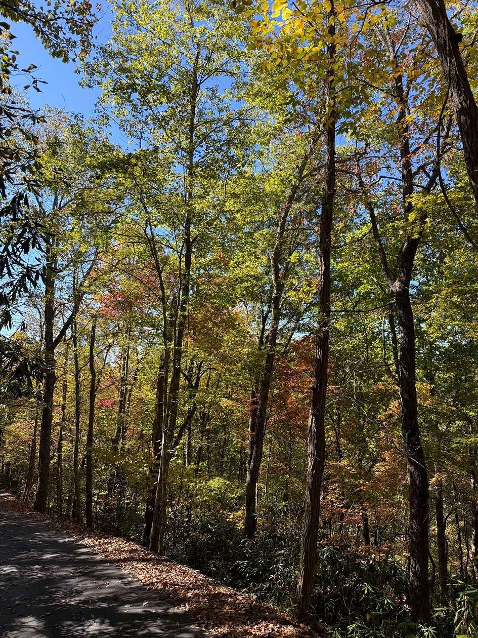 0.7 Acres of Residential Land for Sale in Gatlinburg, Tennessee