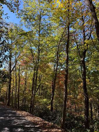 0.7 Acres of Residential Land for Sale in Gatlinburg, Tennessee