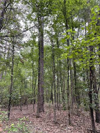 10 Acres of Residential Land for Sale in Mineola, Texas