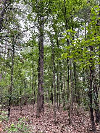 10 Acres of Residential Land for Sale in Mineola, Texas