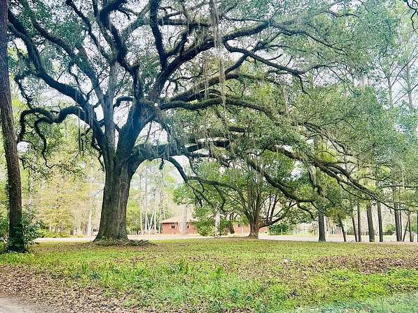 4 Acres of Residential Land for Sale in Pavo, Georgia