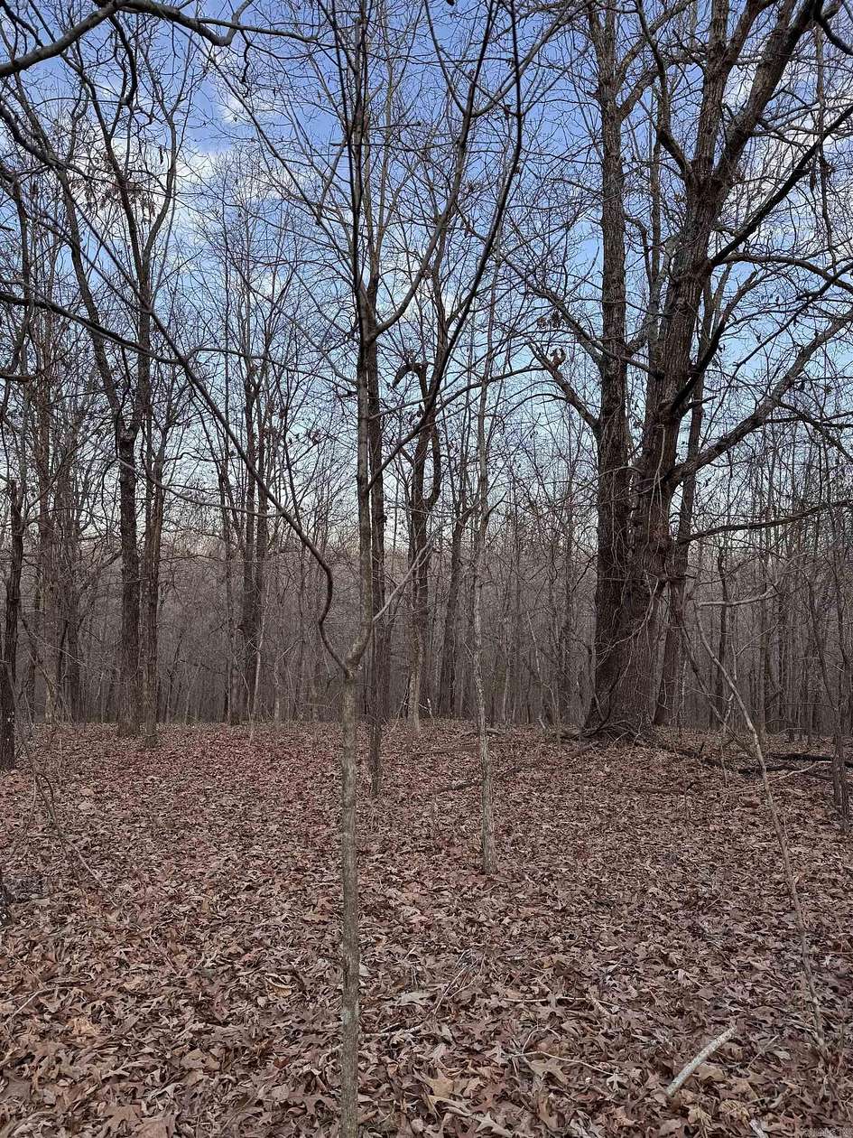 20 Acres of Recreational Land for Sale in Rector, Arkansas