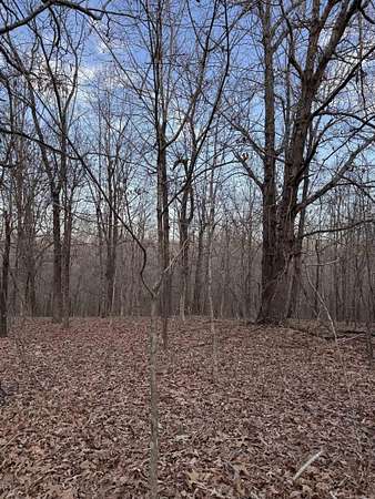 20 Acres of Recreational Land for Sale in Rector, Arkansas