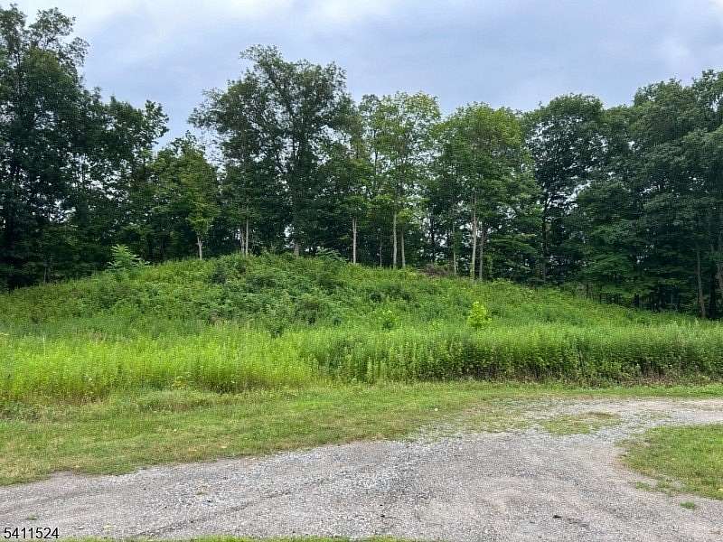 0.78 Acres of Land for Sale in Franklin, New Jersey