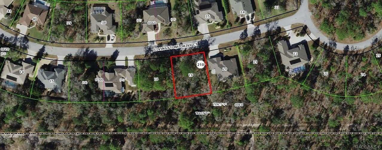 0.28 Acres of Residential Land for Sale in Homosassa, Florida