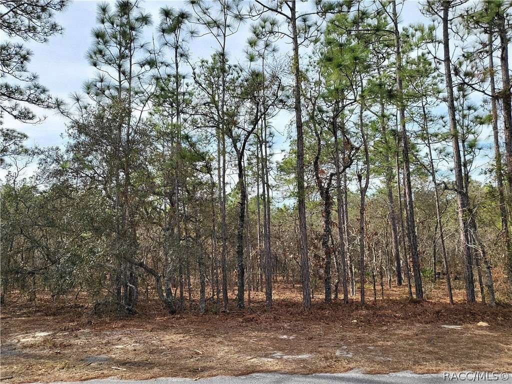 0.28 Acres of Residential Land for Sale in Homosassa, Florida