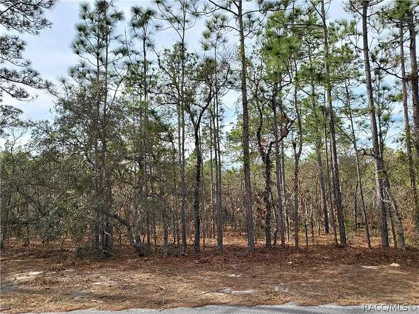 0.28 Acres of Residential Land for Sale in Homosassa, Florida