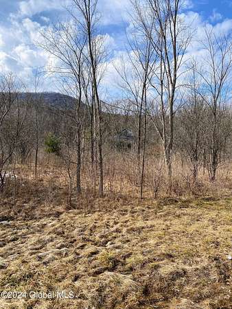 57.5 Acres of Recreational & Residential Land for Sale in Altamont, New York