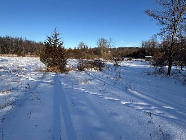 30 Acres of Recreational Land for Sale in Osseo, Michigan