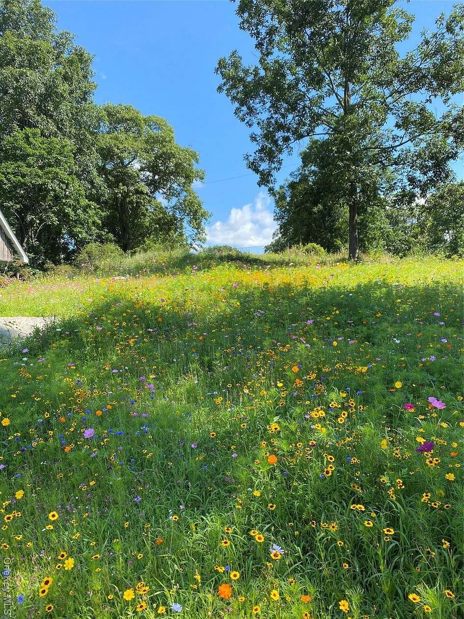 6.2 Acres of Land for Sale in Saugerties, New York