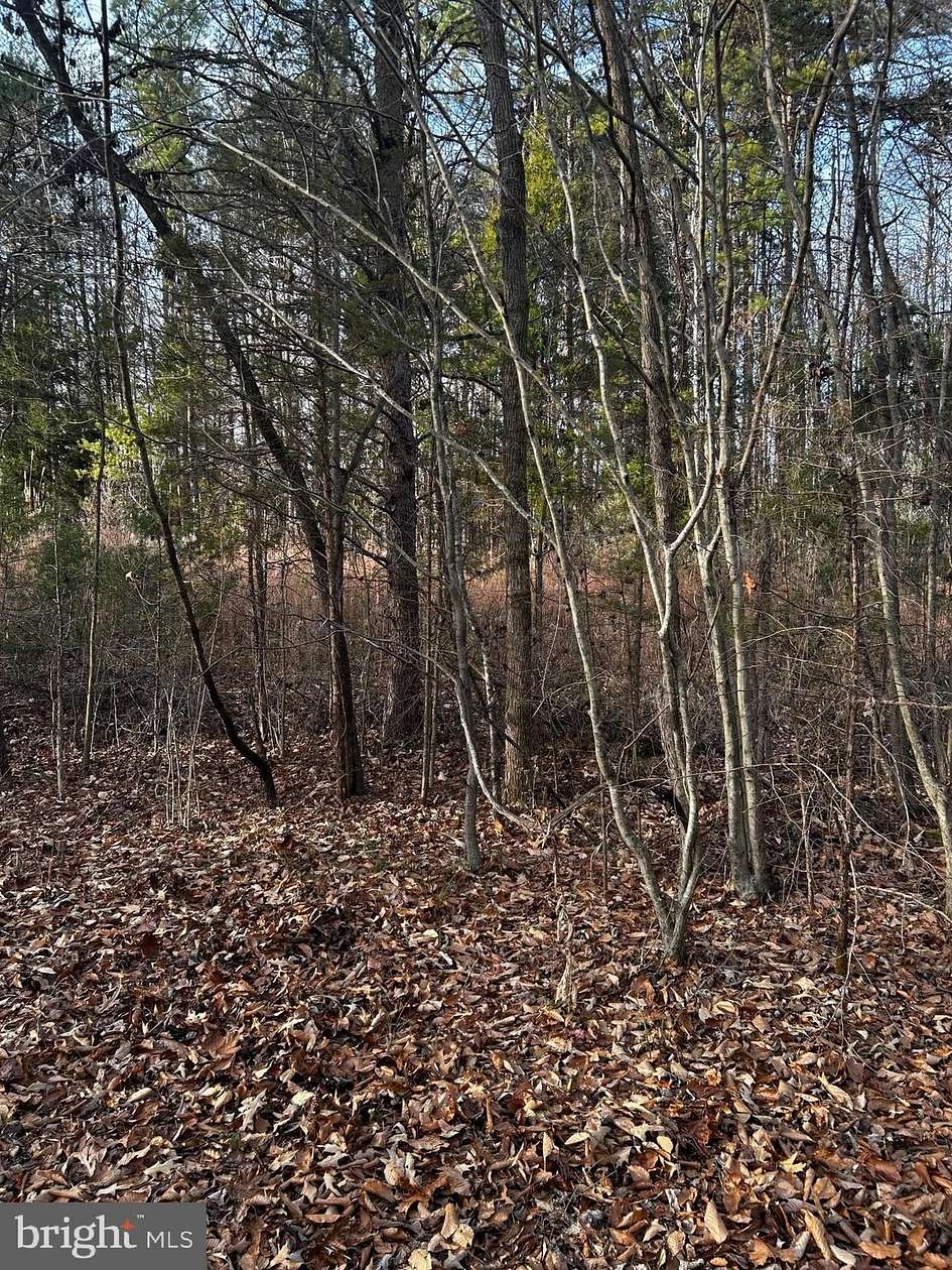 3 Acres of Land for Sale in Scottsburg, Virginia