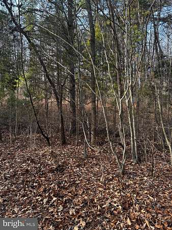 3 Acres of Land for Sale in Scottsburg, Virginia