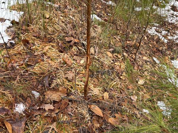 267 Acres of Recreational Land for Sale in Phenix, Virginia