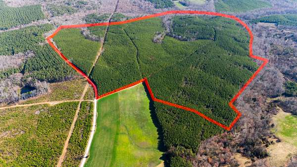 267 Acres of Recreational Land for Sale in Phenix, Virginia