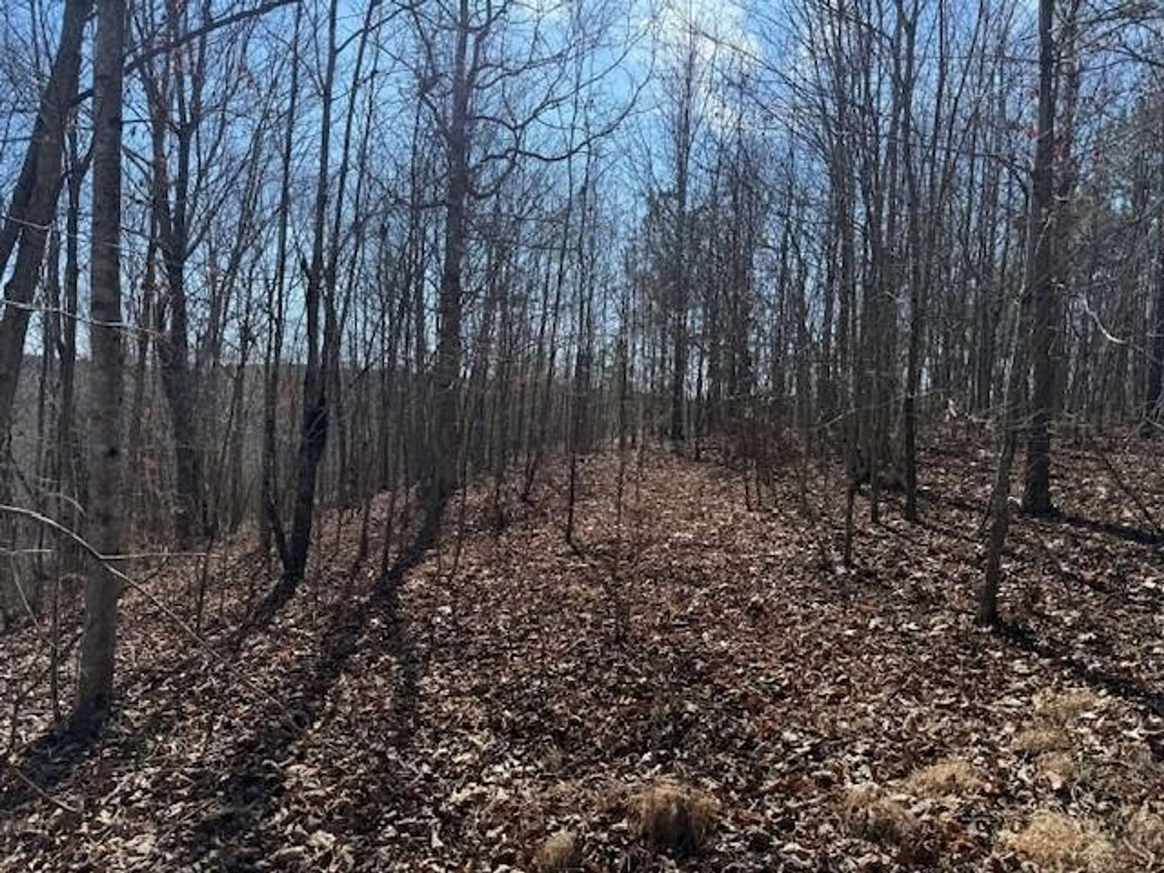 5 Acres of Recreational Land for Sale in South Pittsburg, Tennessee