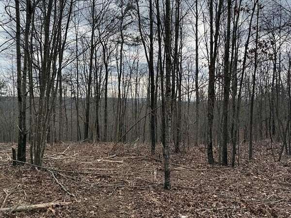 5 Acres of Residential Land for Sale in South Pittsburg, Tennessee