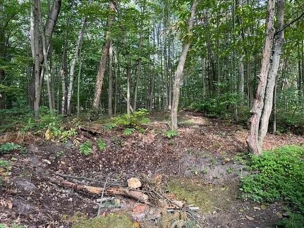 0.66 Acres of Residential Land for Sale in Gaylord, Michigan