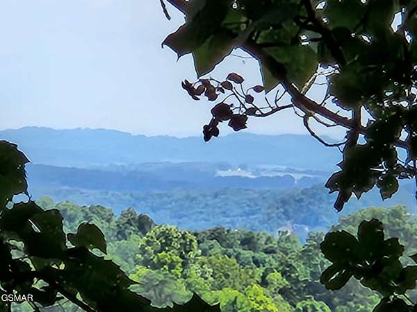 18.2 Acres of Land for Sale in Dandridge, Tennessee