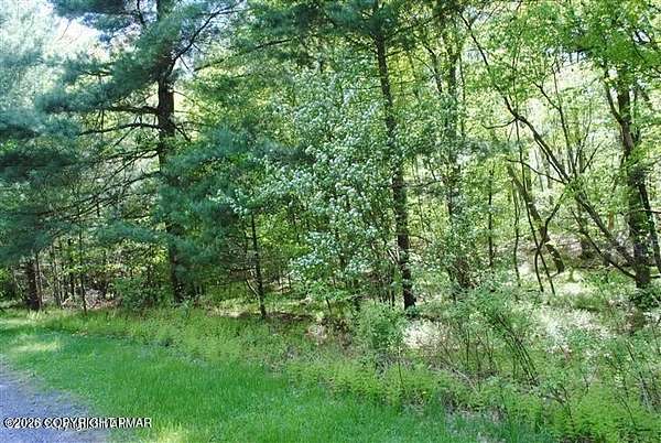 0.28 Acres of Residential Land for Sale in Pocono Lake, Pennsylvania