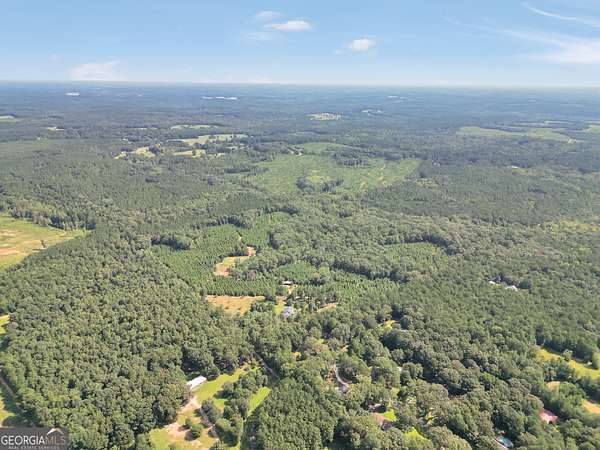 58.1 Acres of Recreational Land for Sale in Flovilla, Georgia