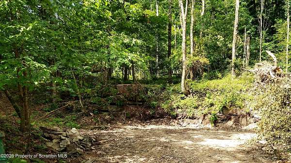 5.18 Acres of Land for Sale in New Milford, Pennsylvania