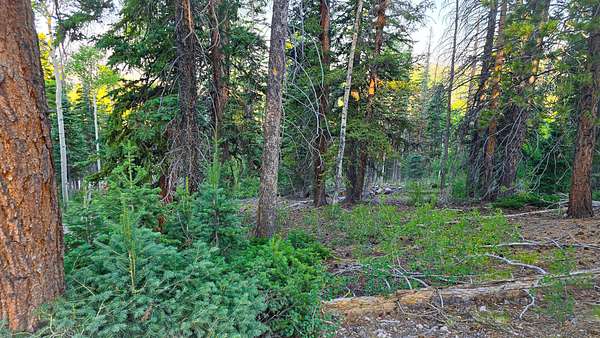 0.55 Acres of Residential Land for Sale in Beaver, Utah