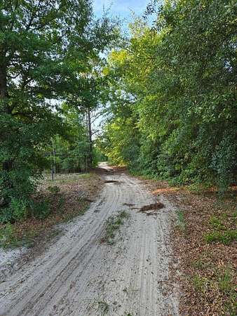 5.8 Acres of Residential Land for Sale in Williston, South Carolina