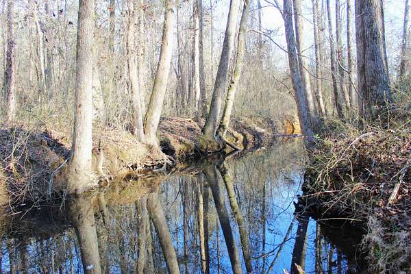 20 Acres of Recreational & Residential Land for Sale in Quitman, Arkansas