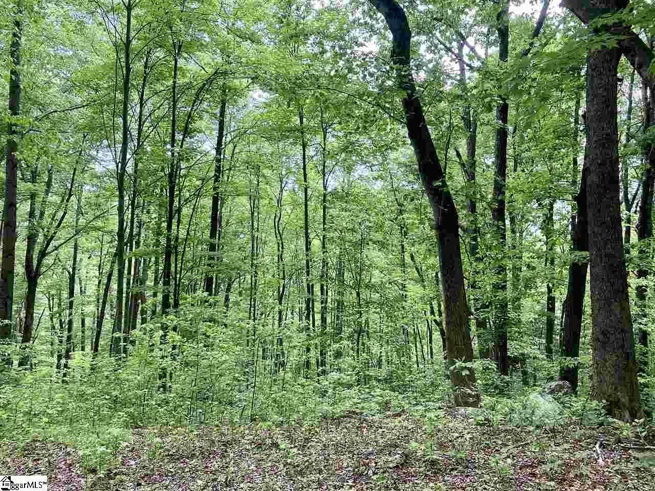 3.5 Acres of Residential Land for Sale in Travelers Rest, South Carolina