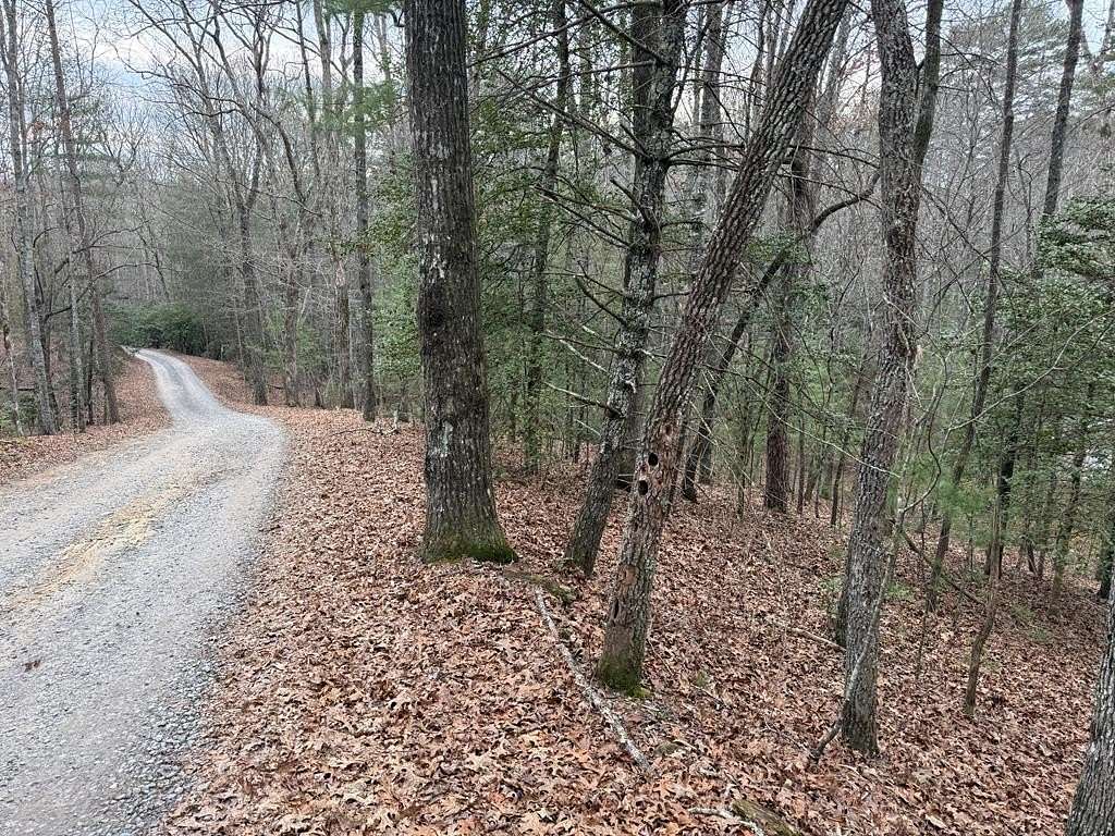 Land for Sale in Murphy, North Carolina