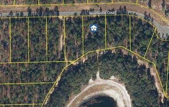 0.53 Acres of Residential Land for Sale in Interlachen, Florida