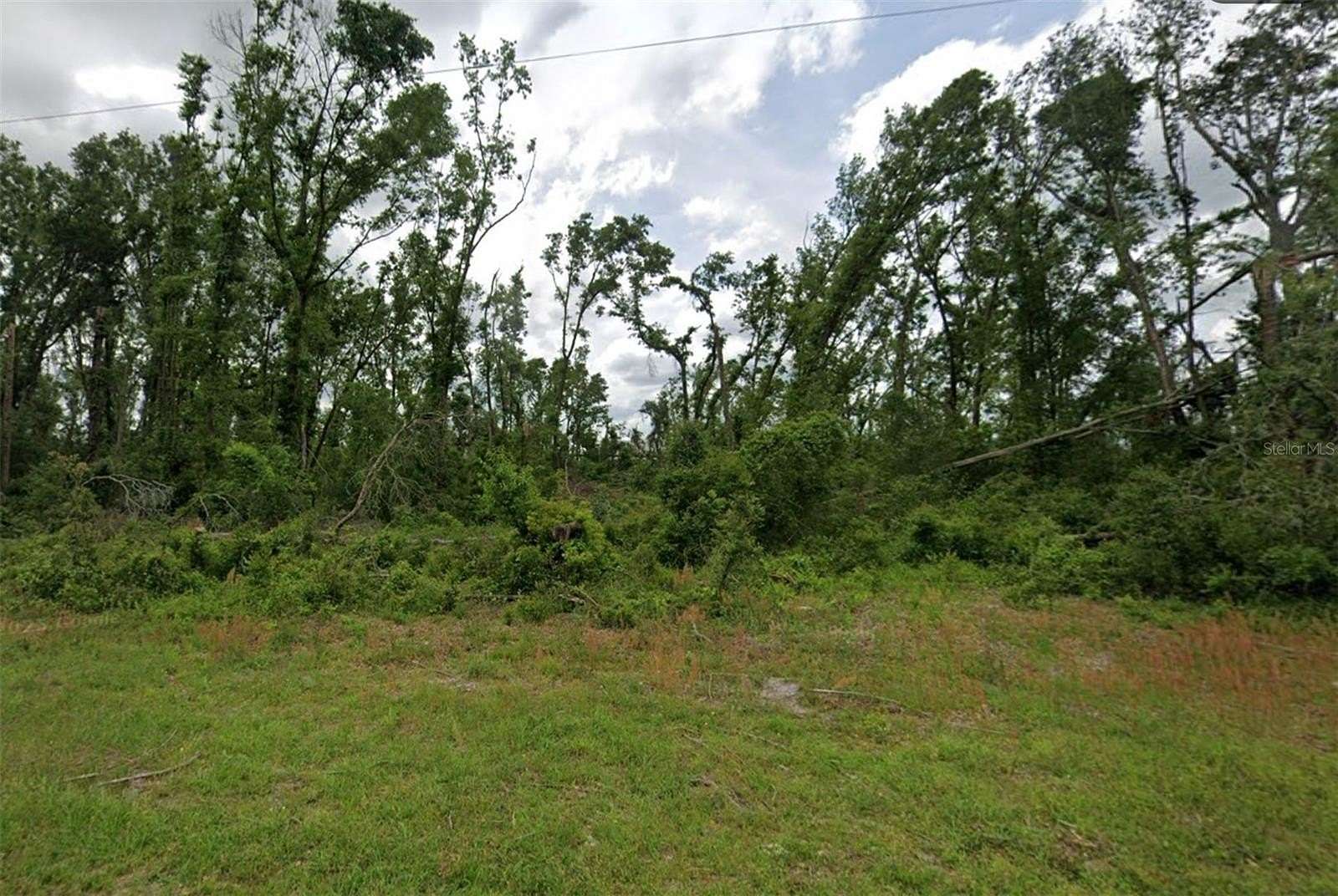 1 Acre of Residential Land for Sale in Mayo, Florida