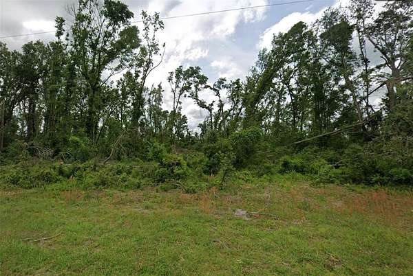 1 Acre of Residential Land for Sale in Mayo, Florida