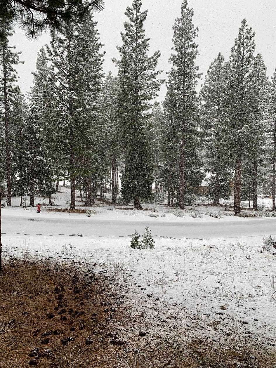 0.46 Acres of Residential Land for Sale in Portola, California