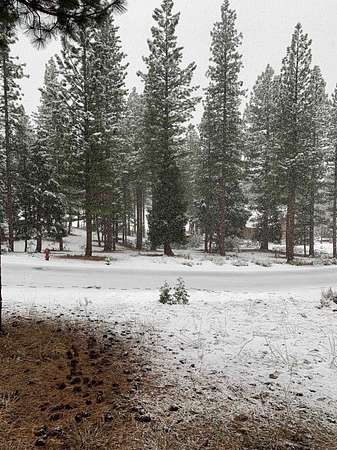 0.46 Acres of Residential Land for Sale in Portola, California